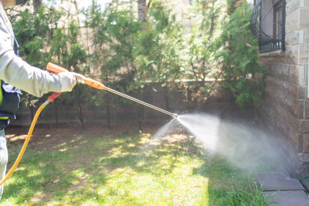 Best Lawn Pest Control  in Holgate, OH